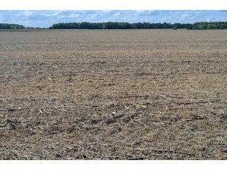 Property photo 36 - EHLE FARMS AUCTION - 118+/- ACRES IN 9 TRACTS IN ALLEN COUNTY, INDIANA